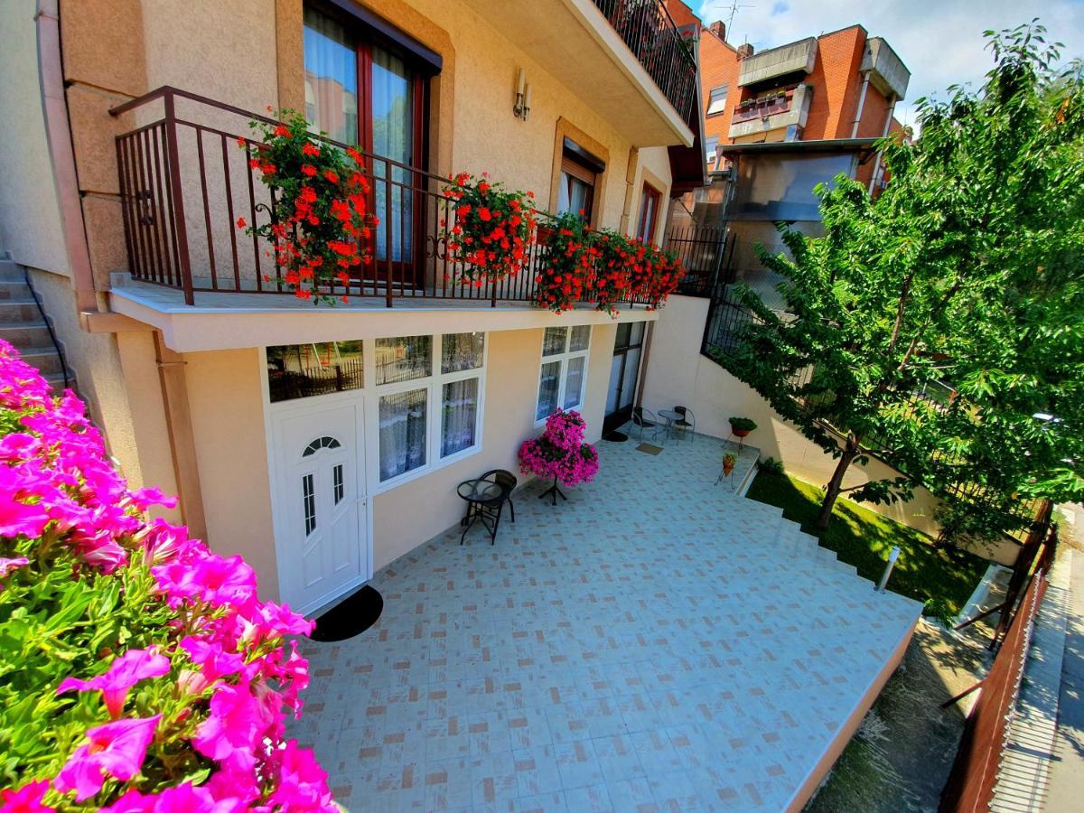 Nilena Apartmani Smederevo Esterno foto