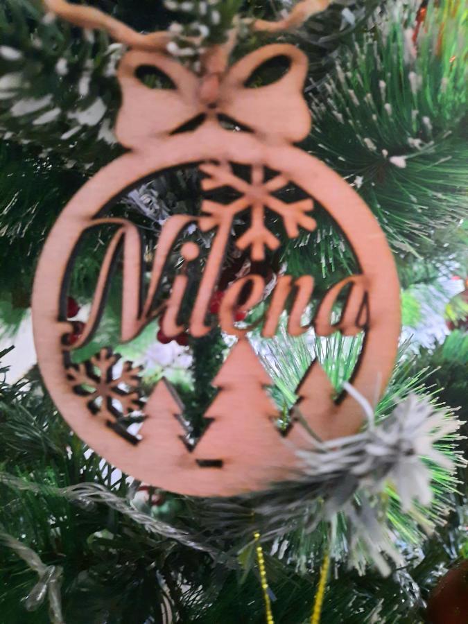 Nilena Apartmani Smederevo Esterno foto