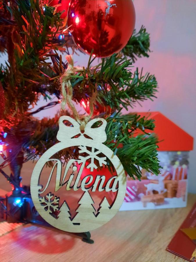 Nilena Apartmani Smederevo Esterno foto